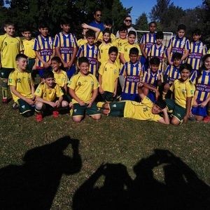 Meet your Posher, Zaitoon